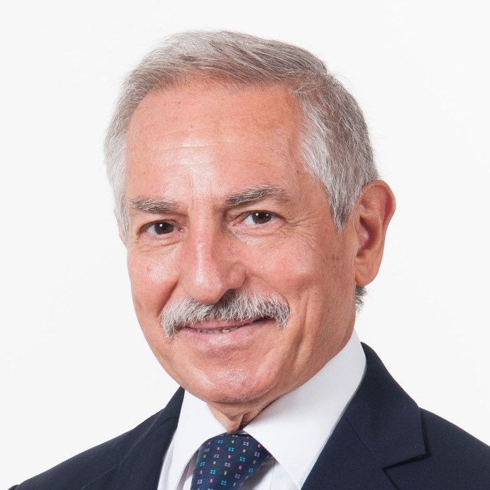 Prof Ing. Maurice Grech
