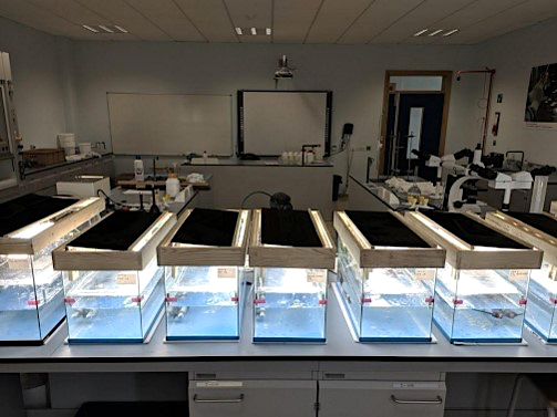 Lab Based test beds at MCAST