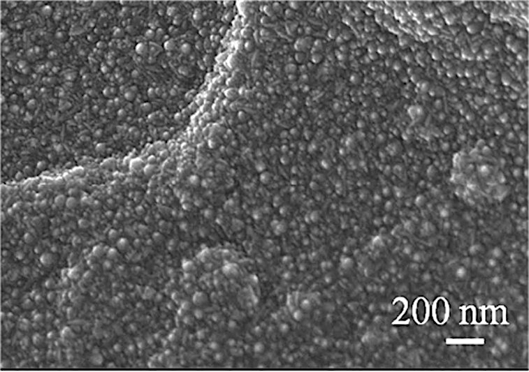 ZnO nanolayer on PMMA